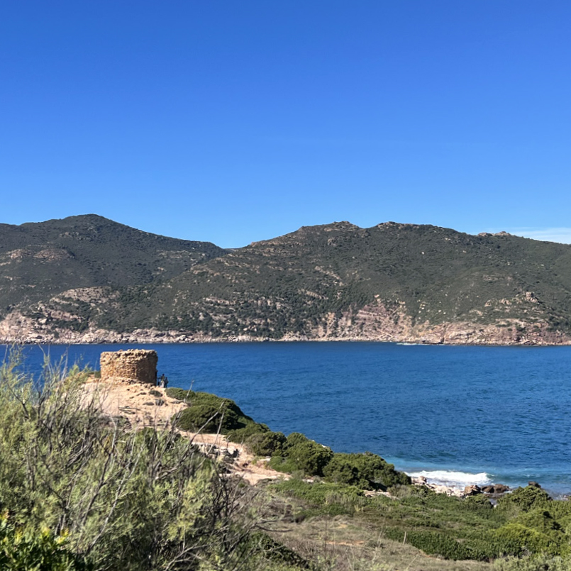 Podere Cala Viola